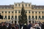Christmasmarket in Schönbrunn (2008)